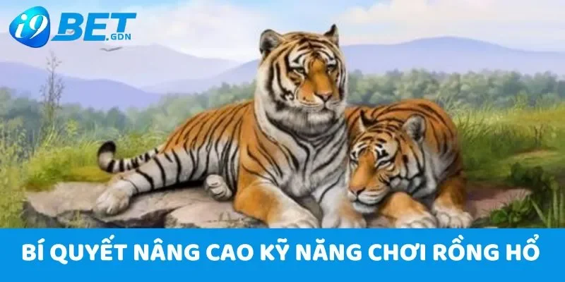 Rồng Hổ i9bet - Chơi là thắng, nhận thưởng khủng cực vui 5 Bí quyết nâng cao kỹ năng chơi rồng hổ